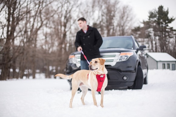 Winter trip - safety tips for your dog in snow