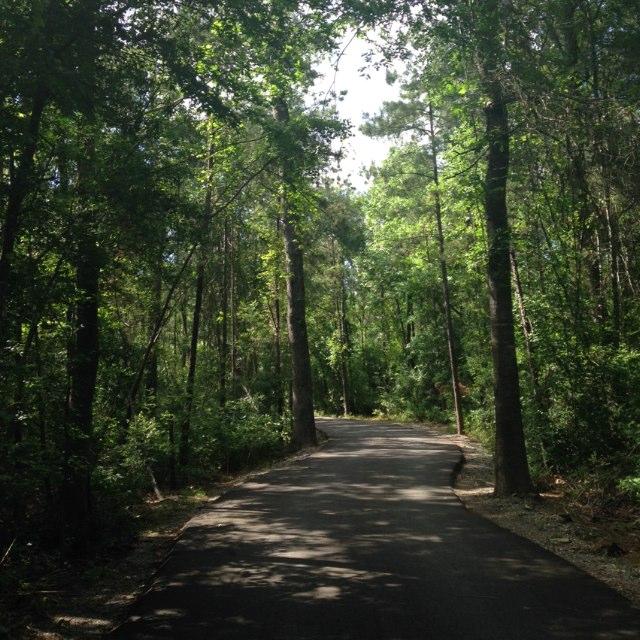 Pundt Park Photos Dog The Love